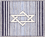 Silver Star Tallit Bag