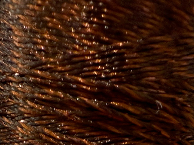 *NEW Twinkle 730 Truffle