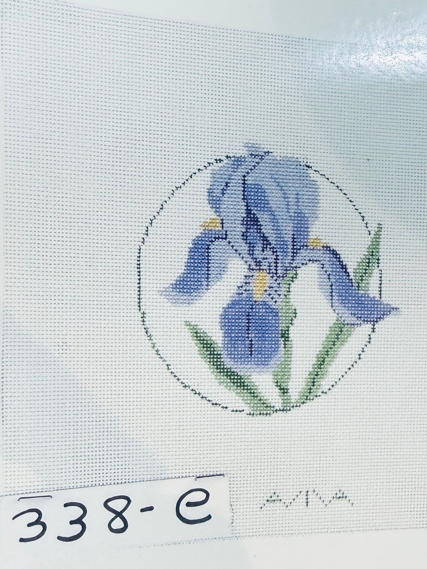Purple Iris 2
