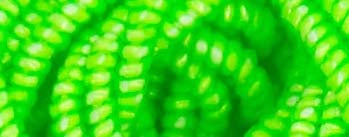 Kreinik 053 Lime Glow in the Dark Facets