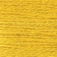 Milan 1577 Canary