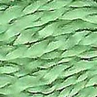 Milan 1855 Cabbage