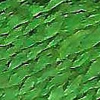 Planet Earth Milan 1856 Chard