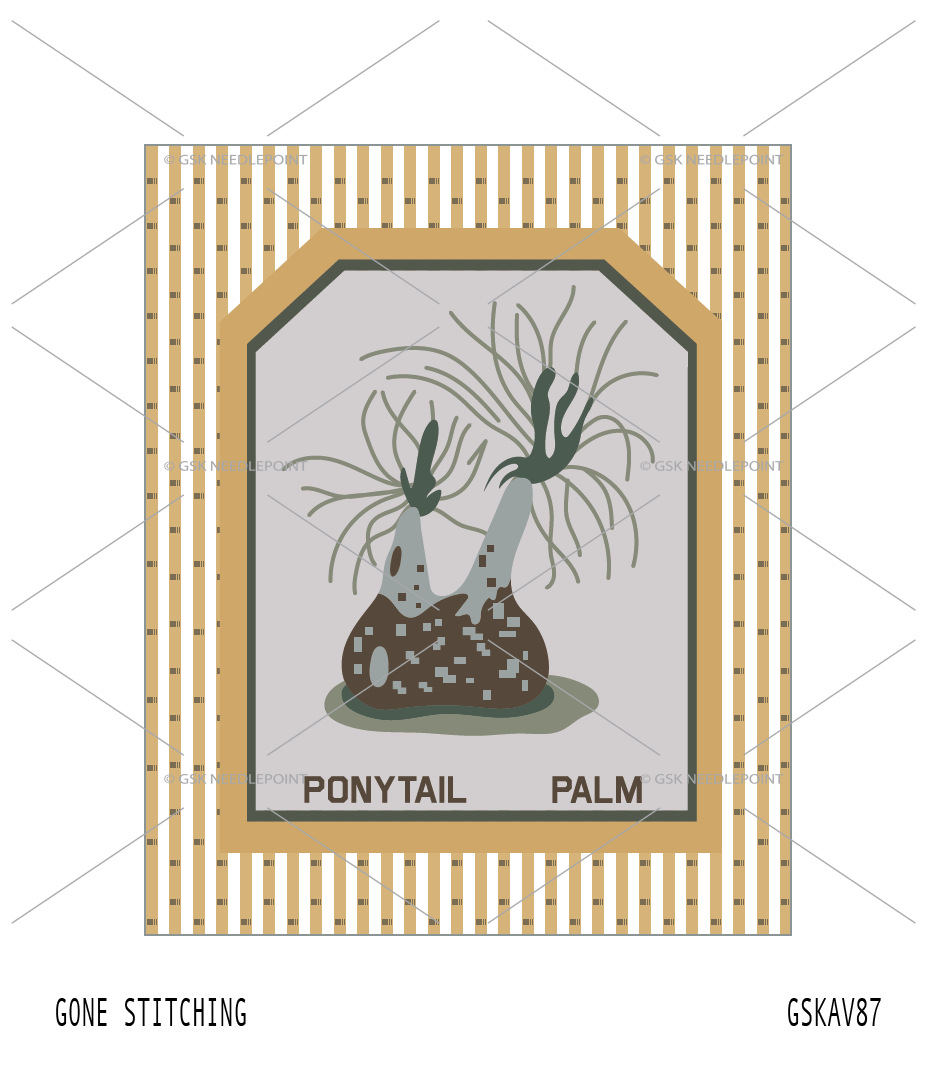 Ponytail Palm