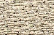 Silk Lame Sand SL100