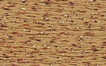 Silk Lame Honey Bronze SL101