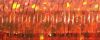 Kreinik Orangeruptis (Hologram) in #4 027L