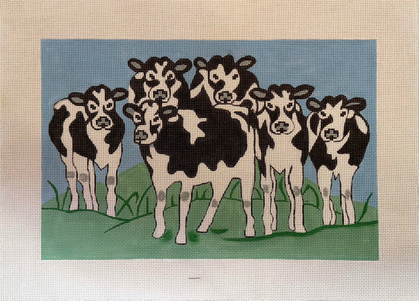 Cows in Grass
