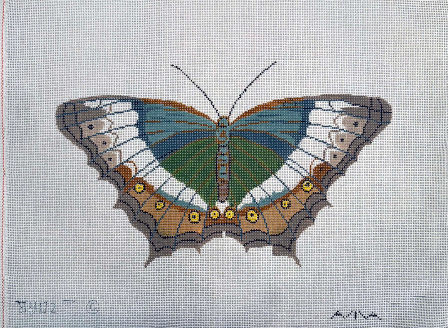 Brown and Blue Butterfly