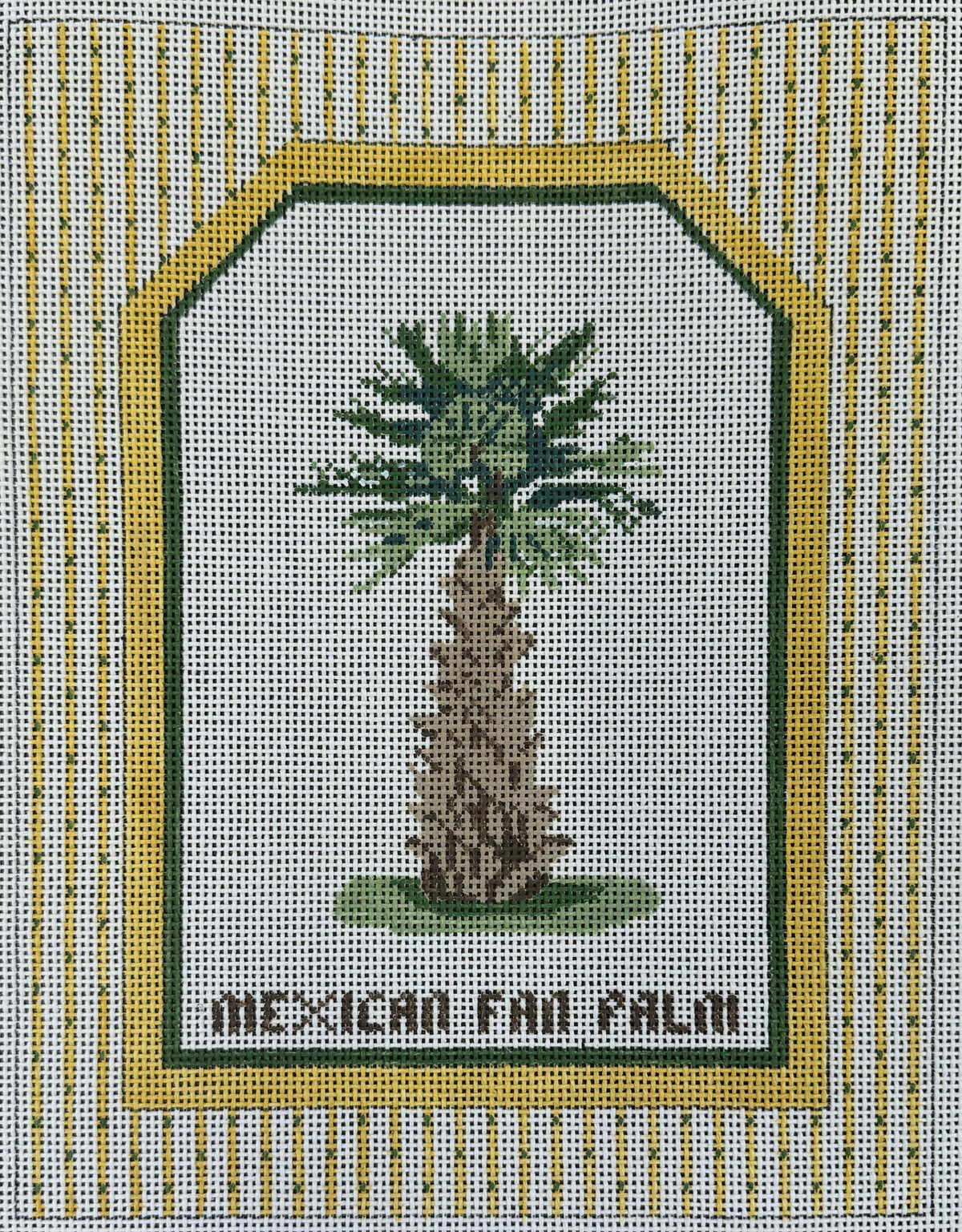 Vintage Canvas - Mexican Fan Palm