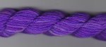 Jumbuck Purple Pansy 1255