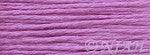 Splendor Medium Violet S874