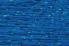 Silk Lame Classic Blue SL99