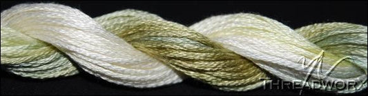 TW1082  Cabbage Cotton Floss (20 yds)