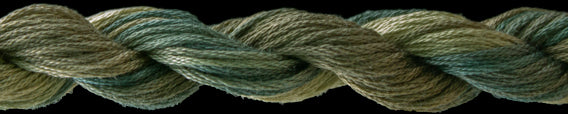 TW10655 Big Sur 10655 Cotton Floss (20 yds)
