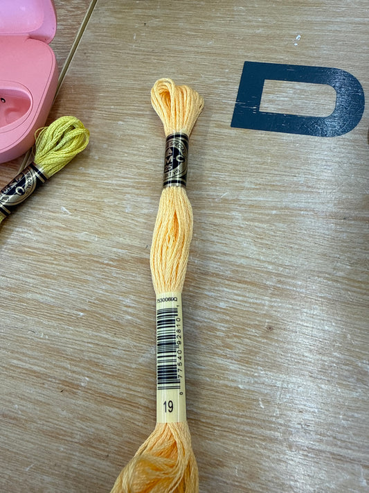 Dmc floss 019