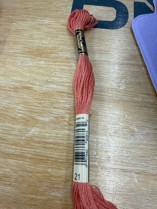 DMC Floss 021