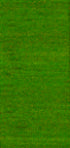 River Silks Ribbon Green 242  7mm