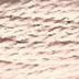 Planet Earth Fibers 8 Ply Shell 1229