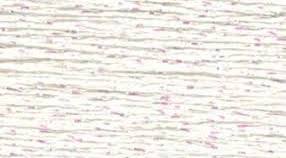 Silk Lame Braid White Glow LB300