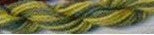 Watercolours Zucchini 339