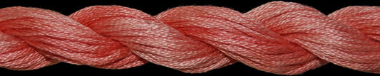 TW1093  Ocean Coral Cotton Floss (20 yds)