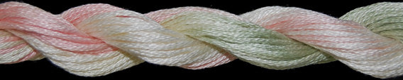 TW1095 Cactus Flowers Cotton Floss (20 yds)