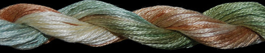 TW1113 Indian Summer Cotton Floss (20 yds)