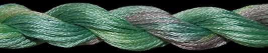 TW1134  Costa Rica Cotton Floss (20 yds)