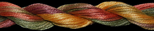 TW1148 Romanian Forest Cotton Floss (20 yds)