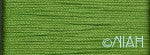 Grandeur Neon Green G1105