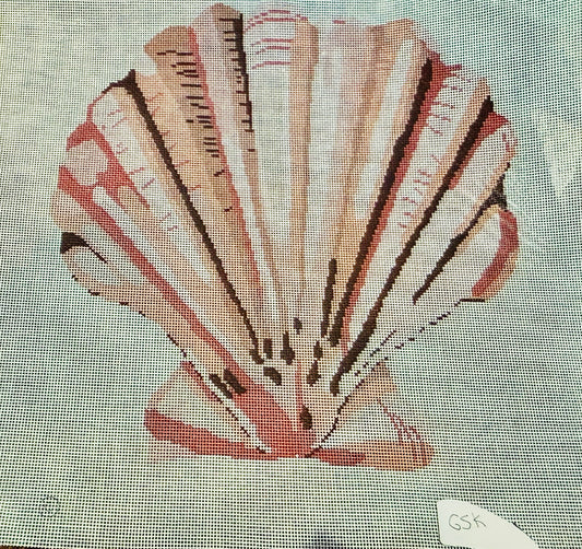 Beach Shell