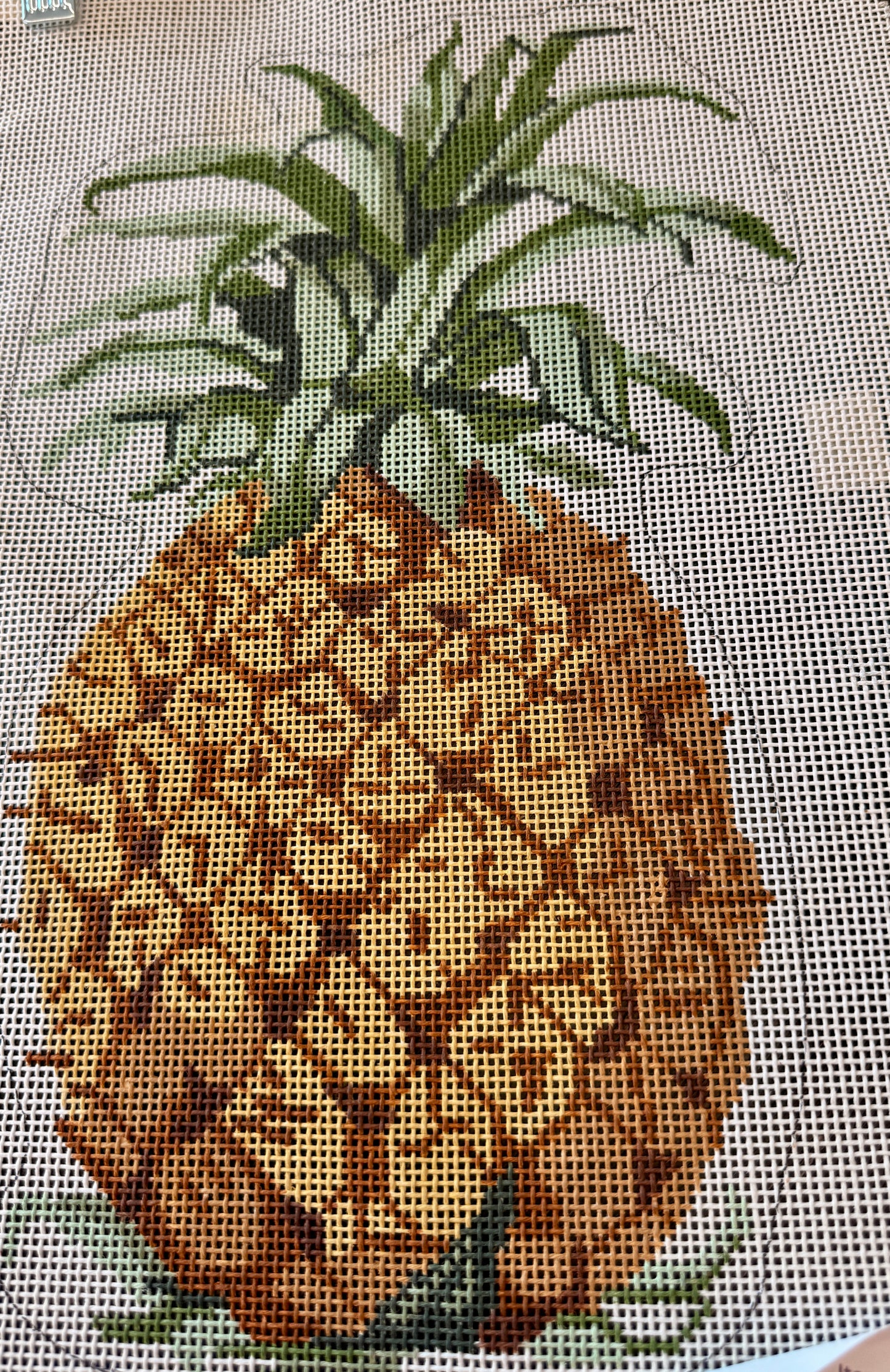Vintage Canvas Pinapple