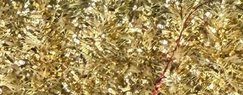 Kreinik 002 Gold Micro Ice Chenille