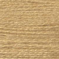 Planet Earth Milan 1593 Lentil