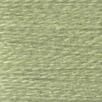 Planet Earth Milan 1706 Cricket