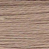 Planet Earth Milan 1766 Hedgehog