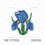 Blue Iris Flower