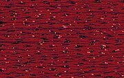 Silk Lame Braid Garnet SL27