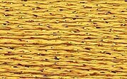 Silk Lame Braid Chardonnay SL111