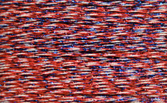 Silk Lame Fourth of July SL131
