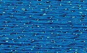 Silk Lame Braid Imperial Blu SL159