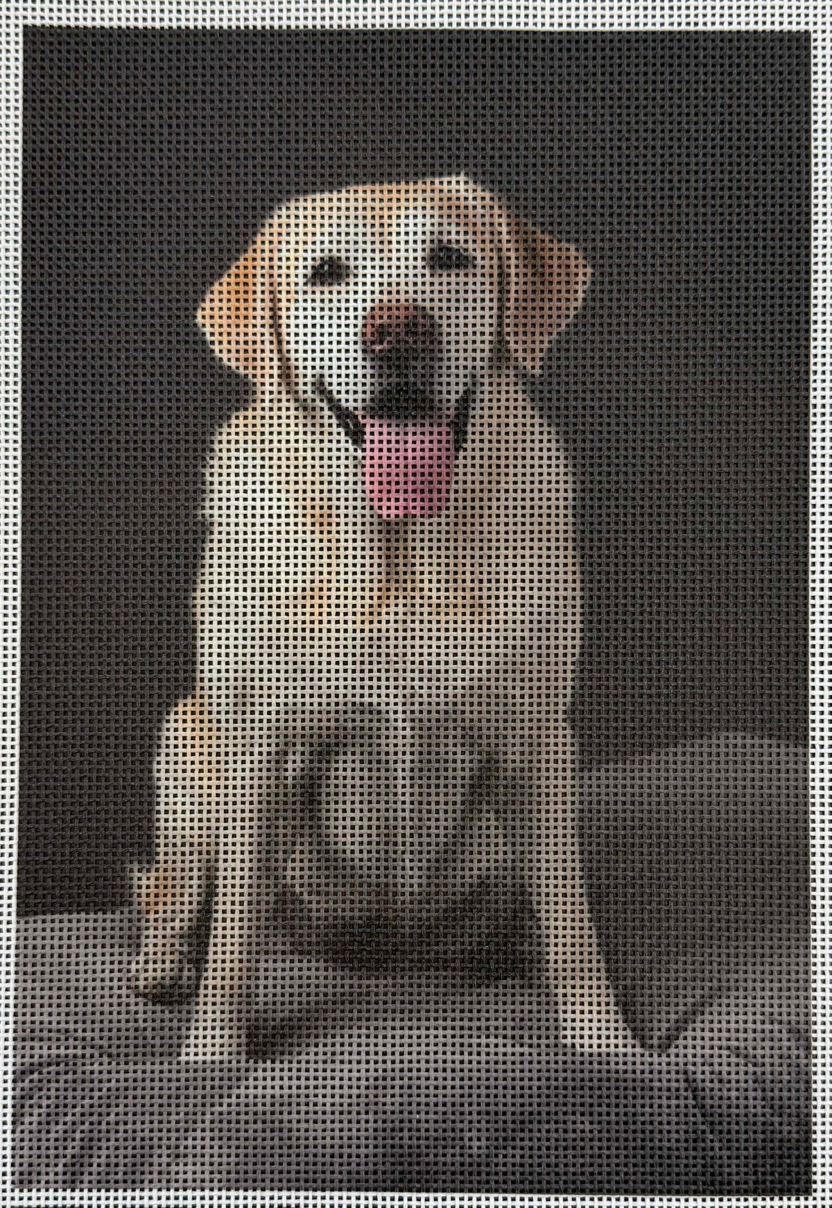 Vintage Canvas - Yellow Labrador - UV Printed