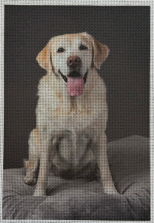 Vintage Canvas - Yellow Labrador - UV Printed