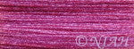 Frosty Rays Wild Rose Y344