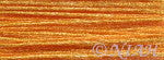 Frosty Rays Lite Pumpkin Y369