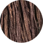 Straw Silk Chocolat 0255