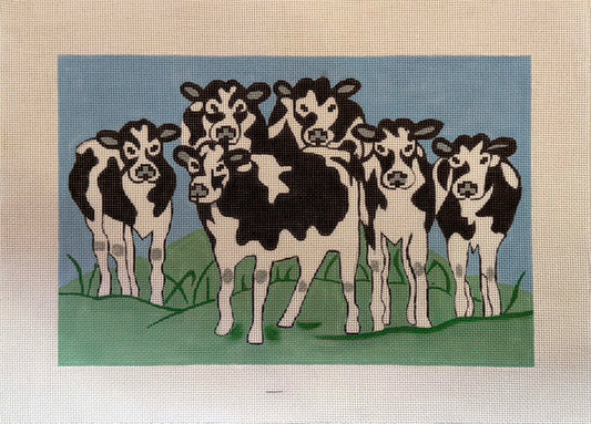 Cows in Grass