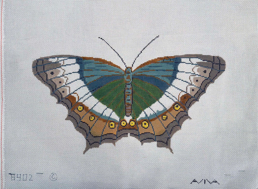 Brown and Blue Butterfly