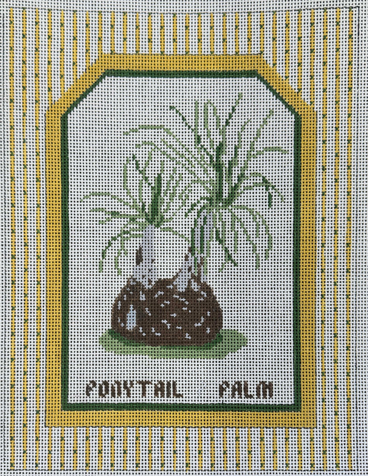 Vintage Canvas - Ponytail Palm